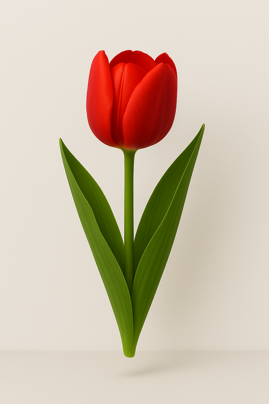 ~ Tulip