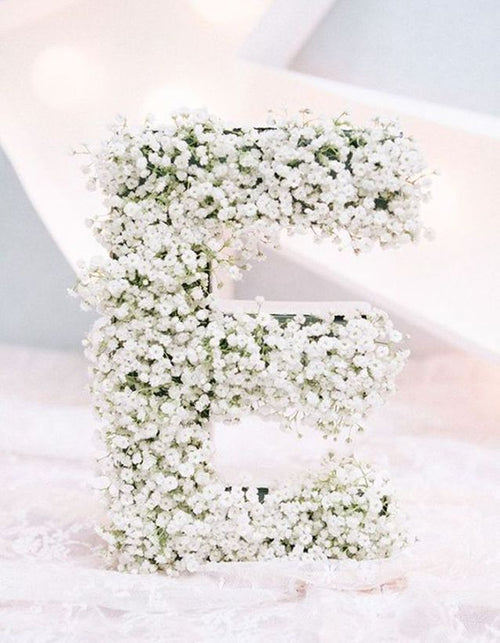 ~ A letter in Baby’s breath (add-on)