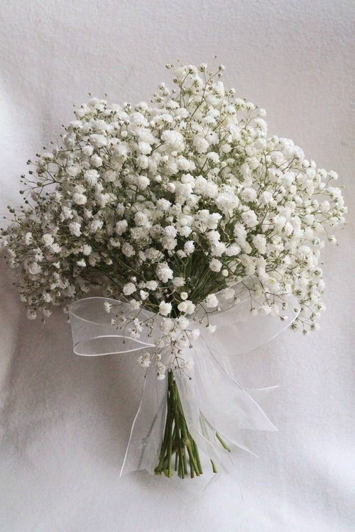 Baby Breath